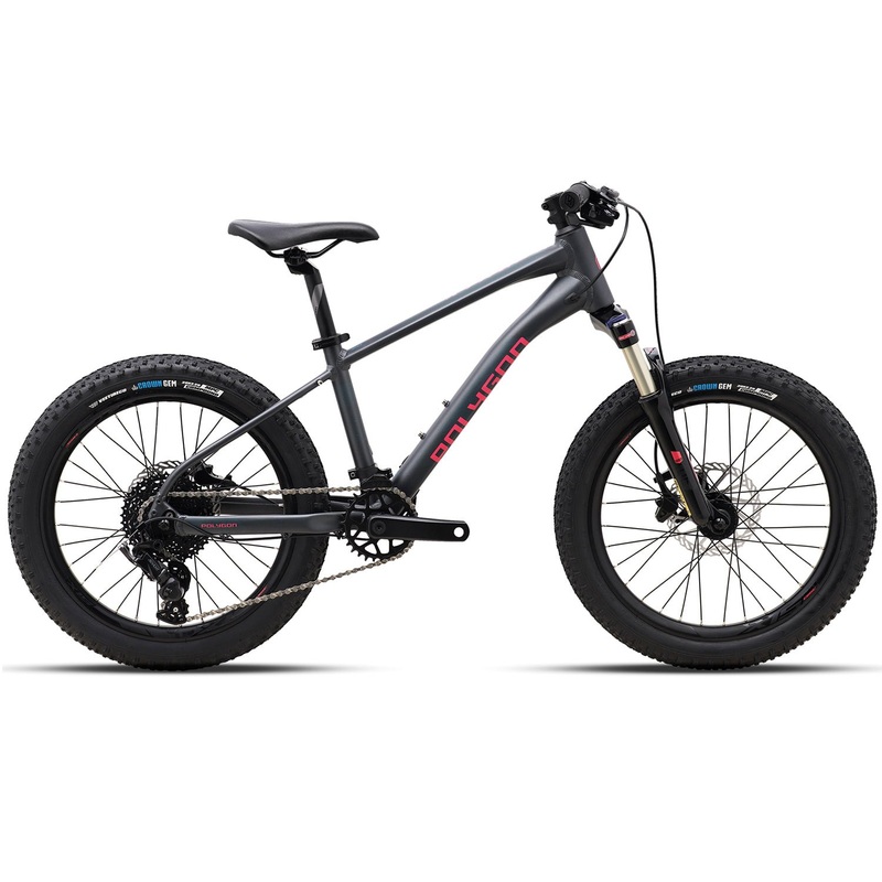 Polygon Xtrada 20 – Kids Mountain Bike