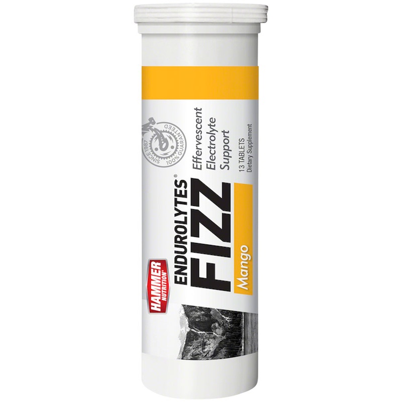 Hammer Endurolytes Fizz: Mango Box of 12