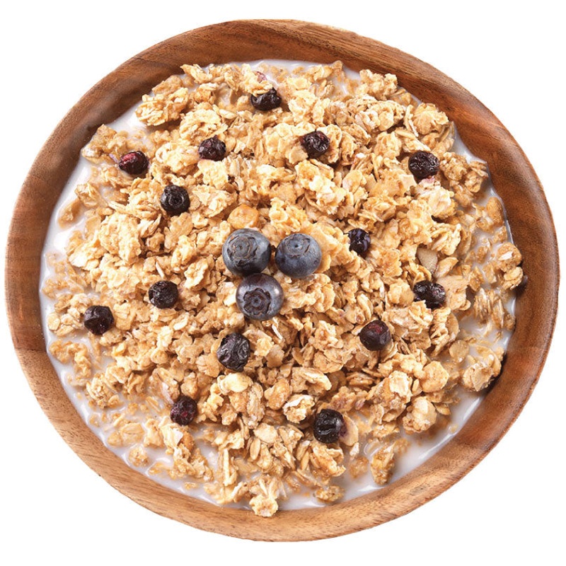Premium Mountain House Breakfast Meals & Skillets  Easy-to-Prepare, Nutritious Outdoor Camping & Hiking Food with Easy Water Rehydration BLUEBERRIES GRANOLA